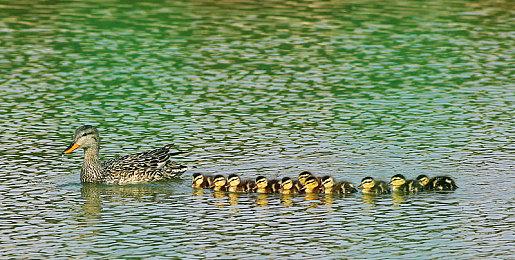 《Extinction Rifts》Steam页面上线 第一人称FPS新游